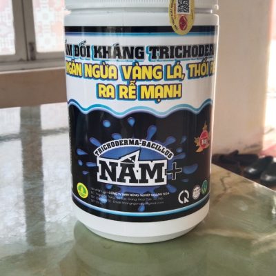 Nấm đối kháng Trichoder