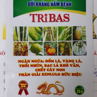 Đối kháng nám bệnh TriBas