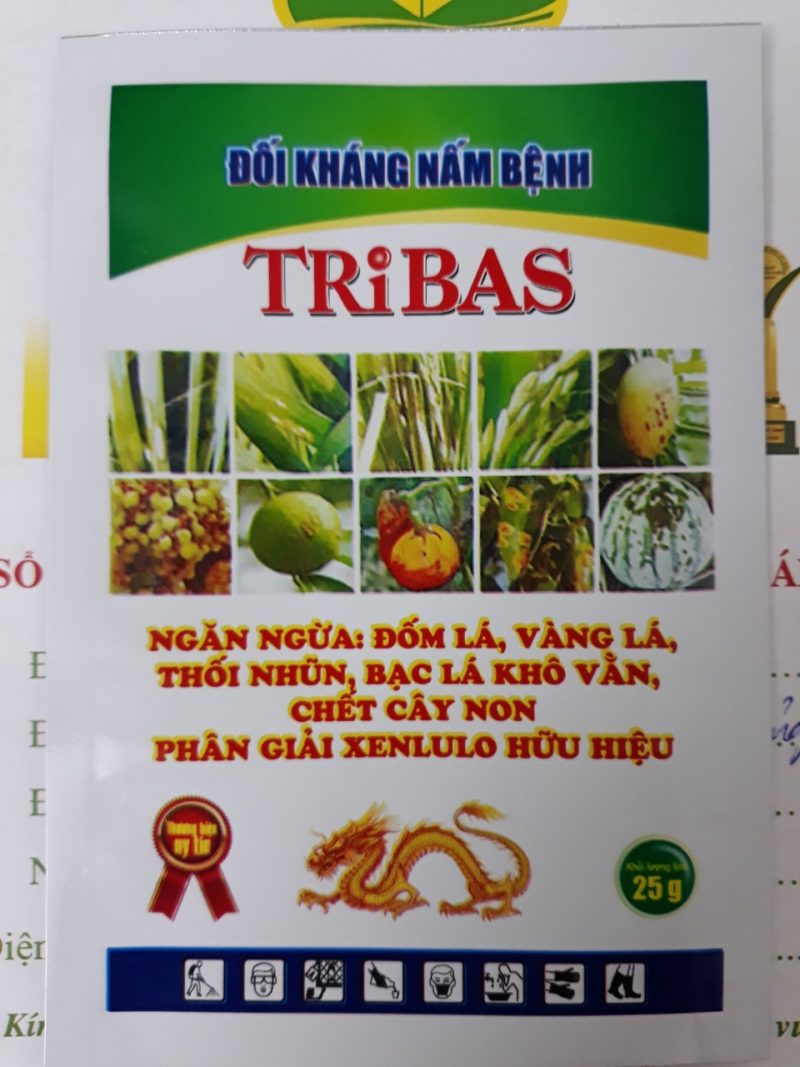 Đối kháng nám bệnh TriBas